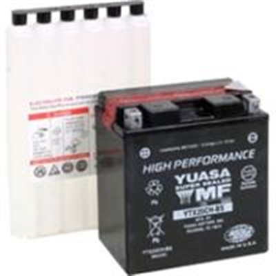 Yuasa-Battery-YTX20CHBS-1.jpg