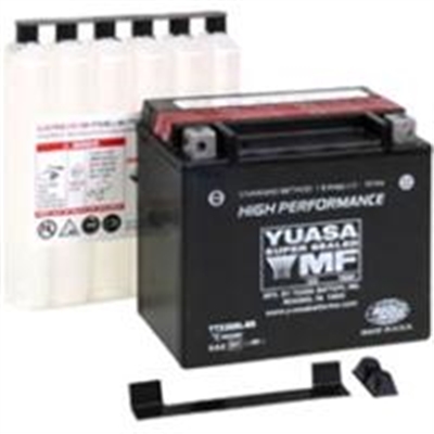 Yuasa-Battery-YTX20HLBS.jpg